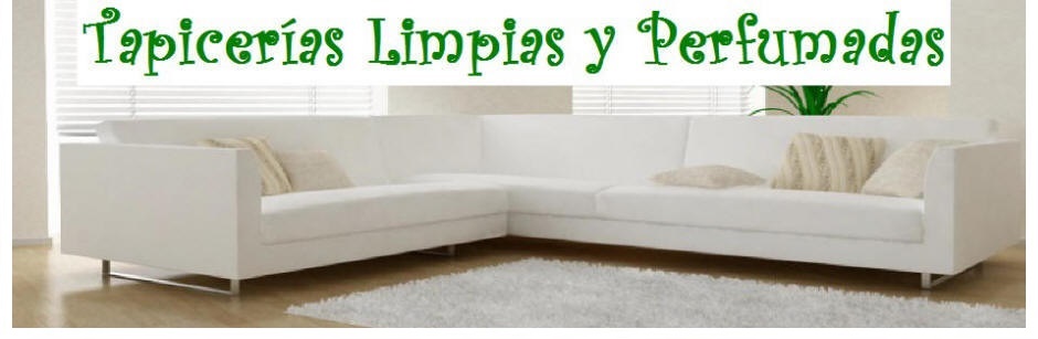 LIMPIEZA PROFUNDA DE LA TAPICERIA DE SUS SOFÁS Y SILLONES A DOMICILIO EN TODA ZARAGOZA